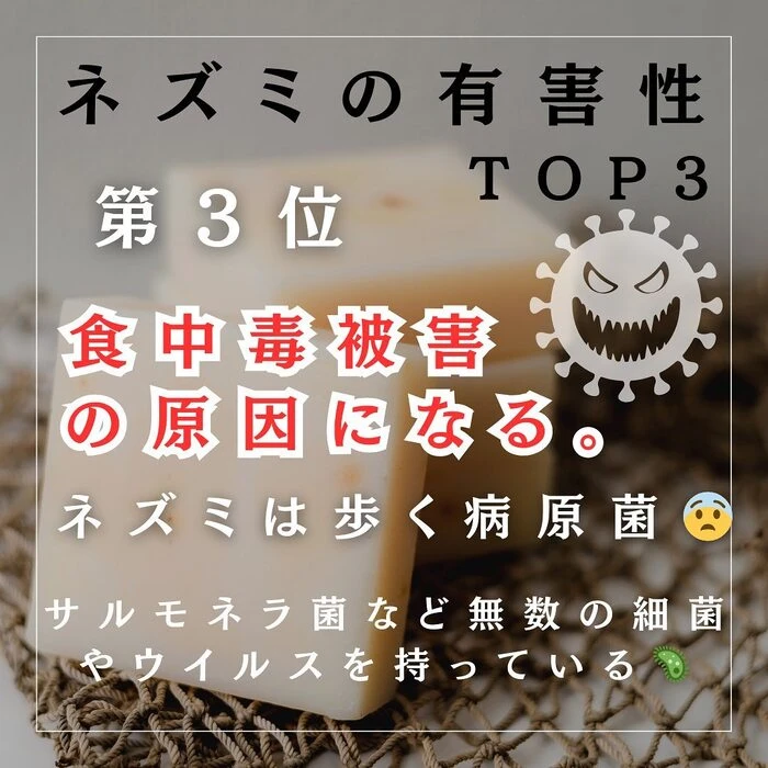 画像242