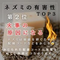 画像243