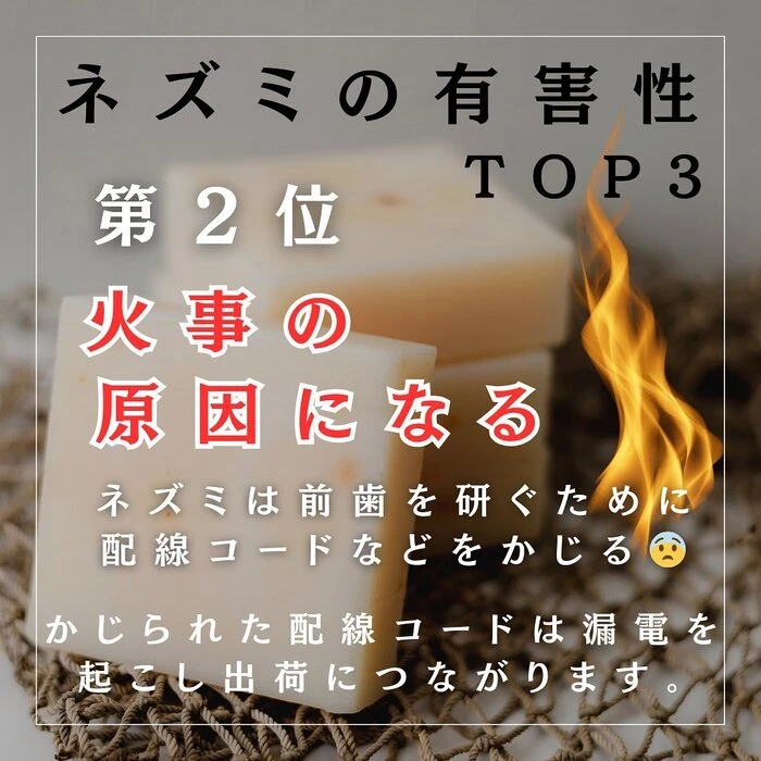 画像243