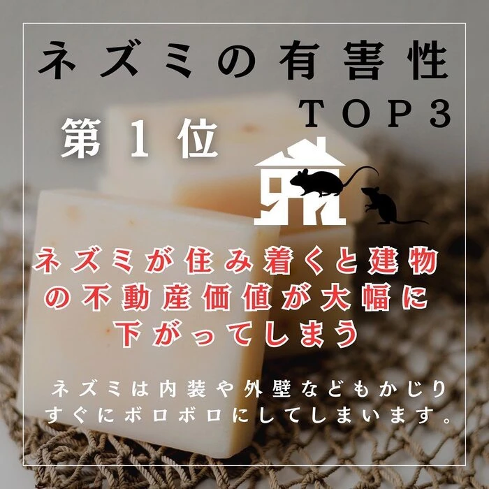 画像244