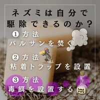 画像245
