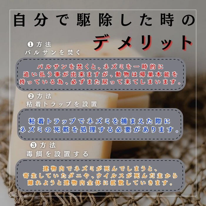 画像246