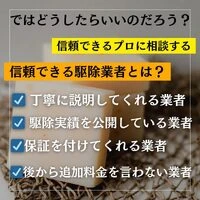 画像247