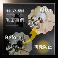 画像355