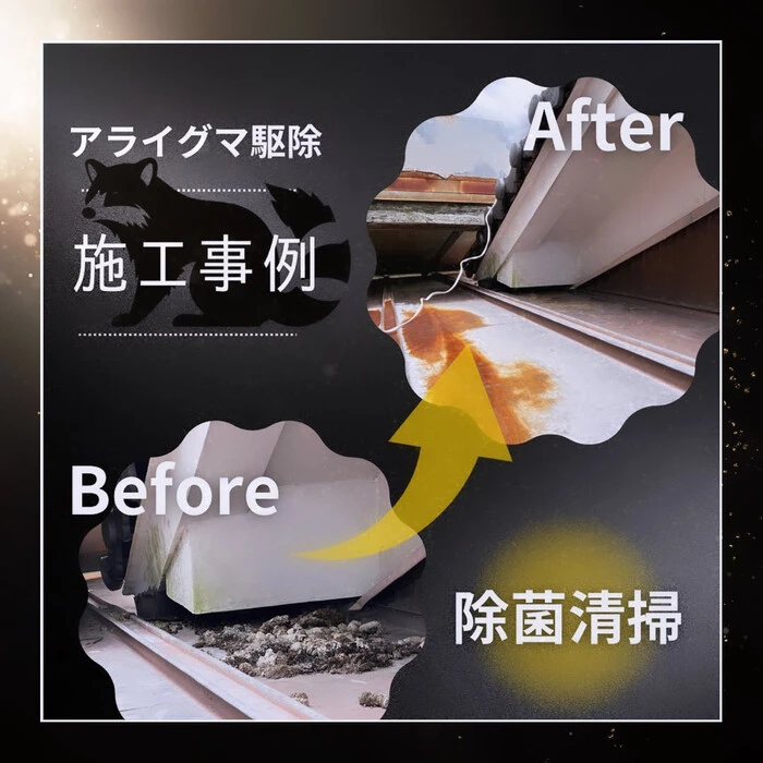画像359