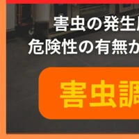 画像572