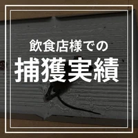 画像580