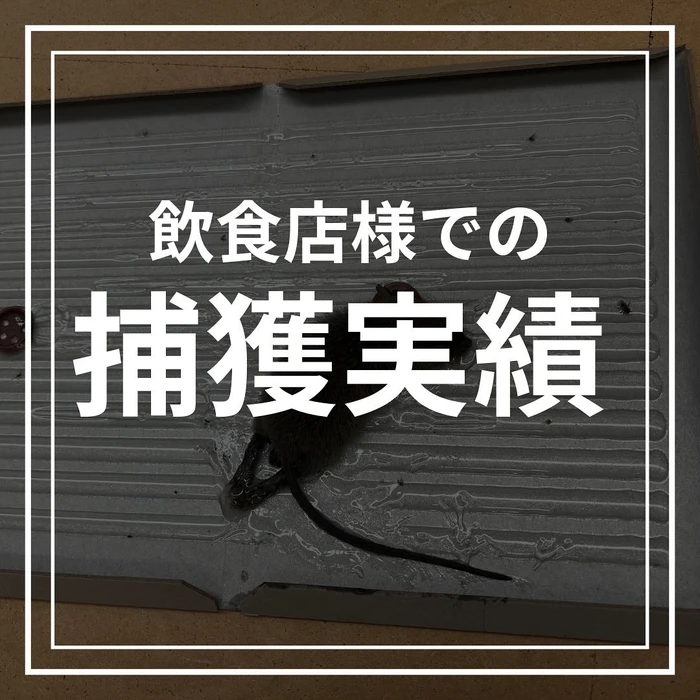 画像580