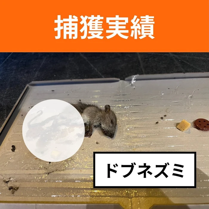 画像581