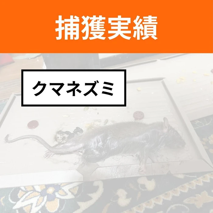 画像583