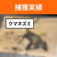 画像584