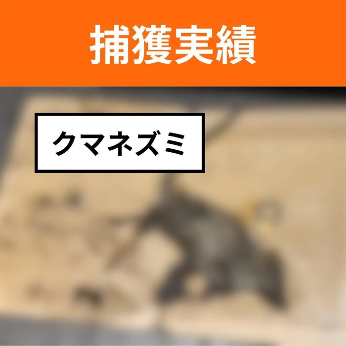 画像584