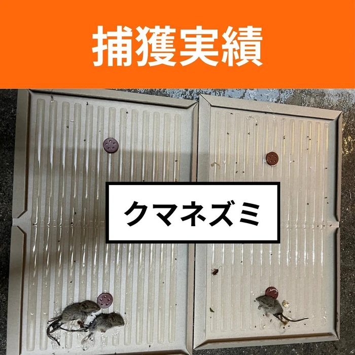 画像586