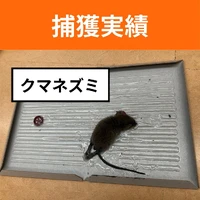 画像588
