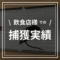 画像590
