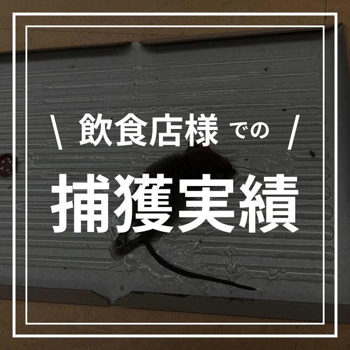 画像590