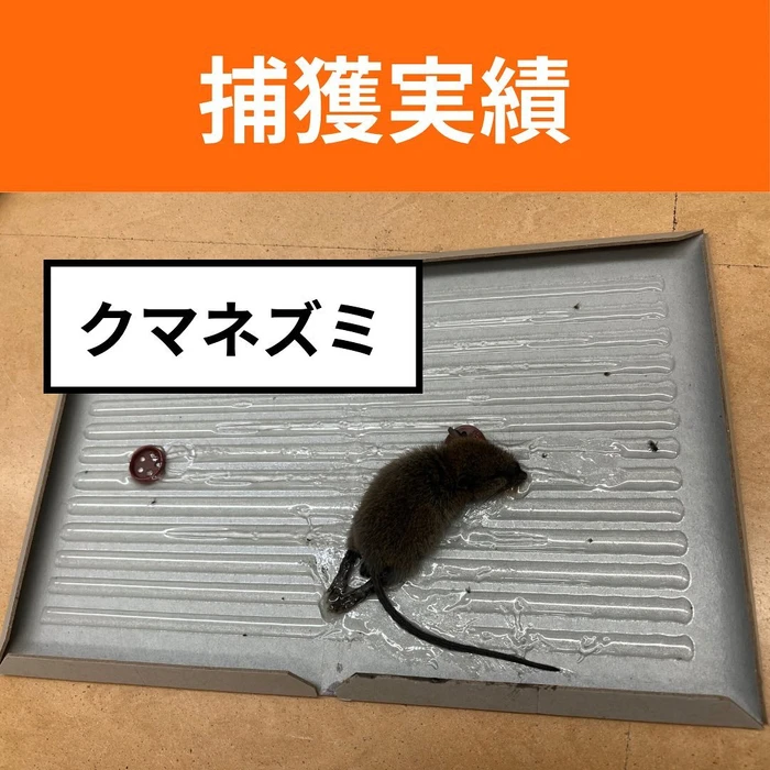 画像591