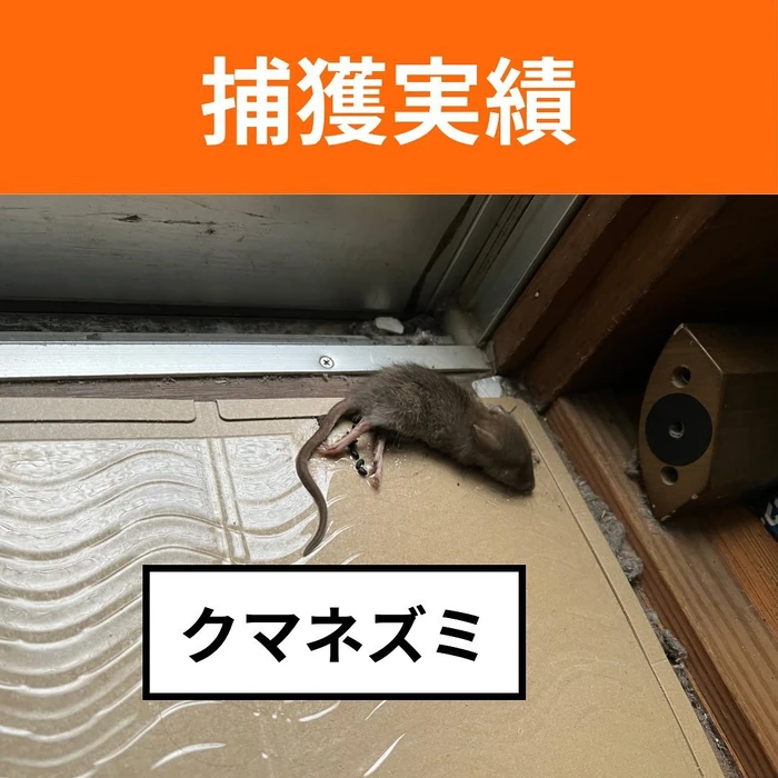 画像595