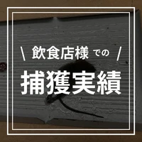 画像600