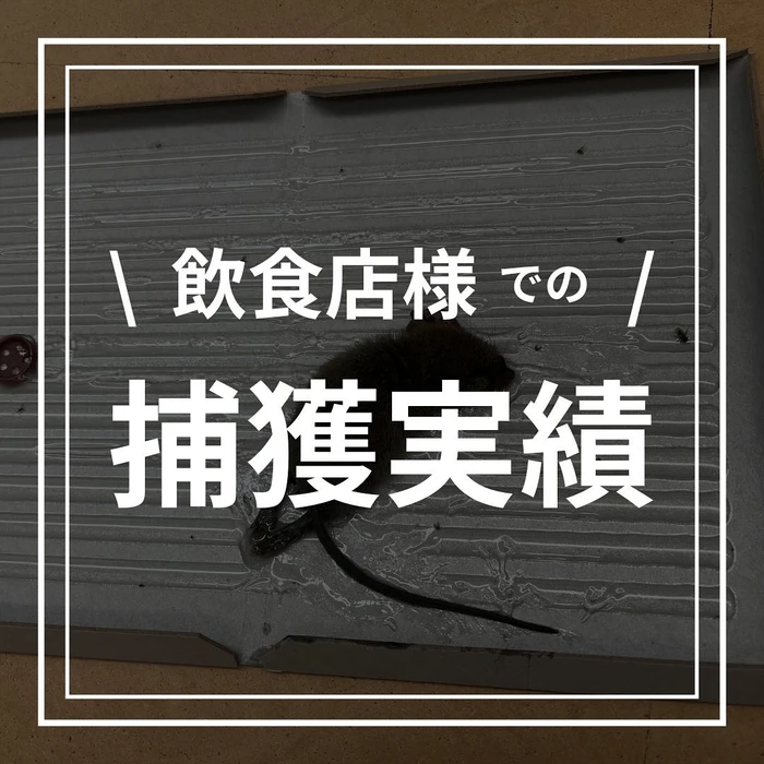 画像600
