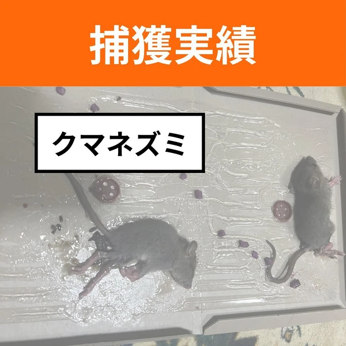 画像607