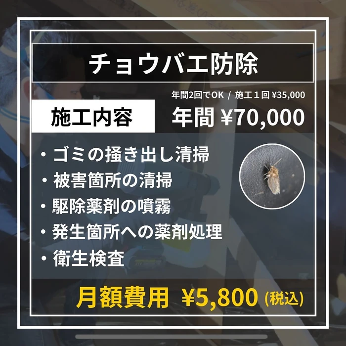 画像613