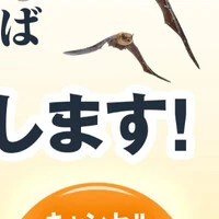 画像691