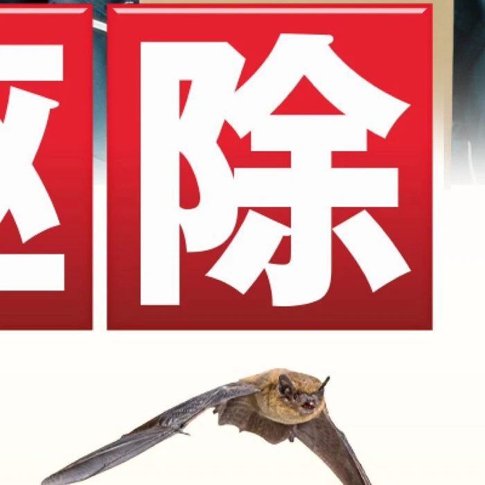 画像697